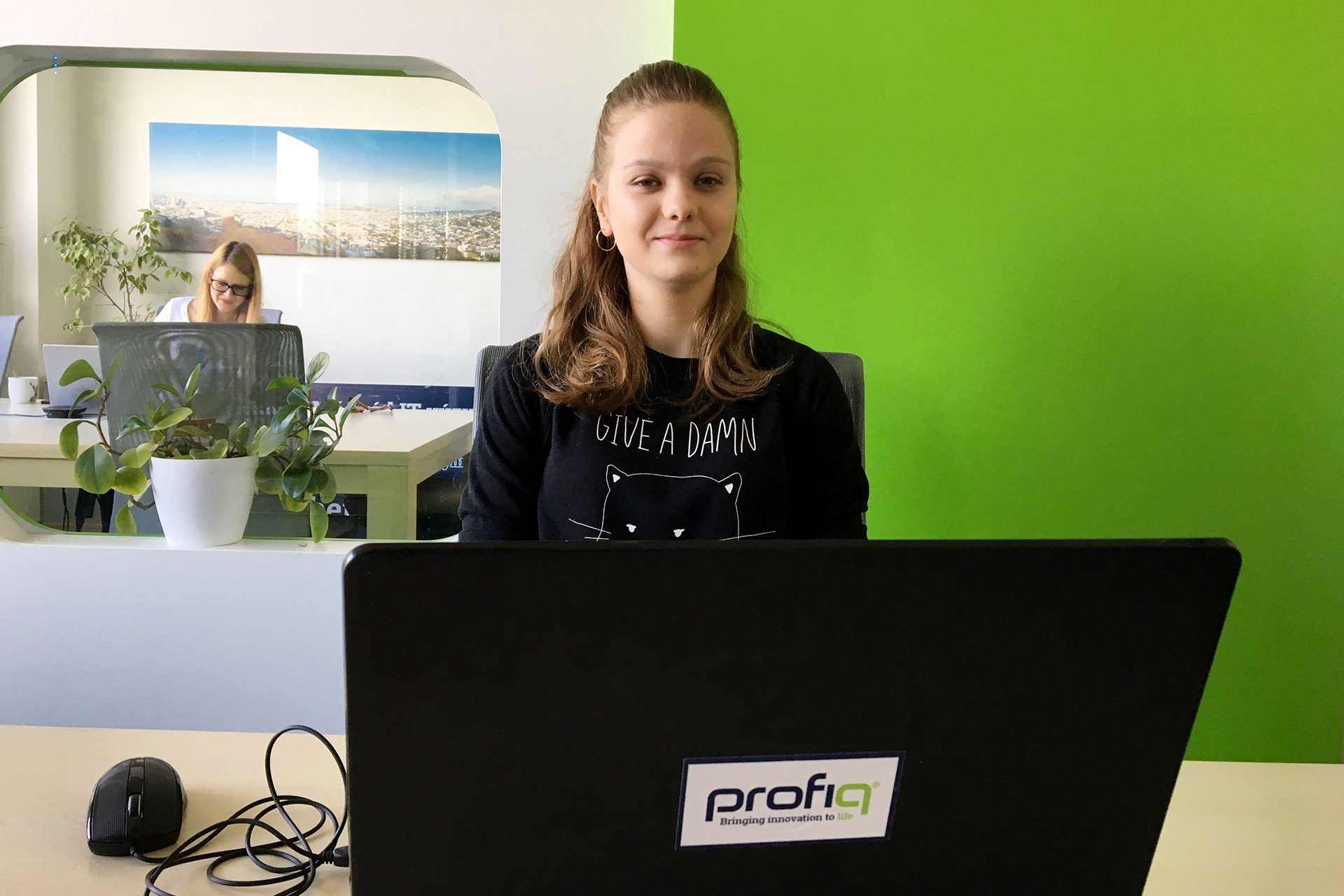 placená staž Studen Pool profiq