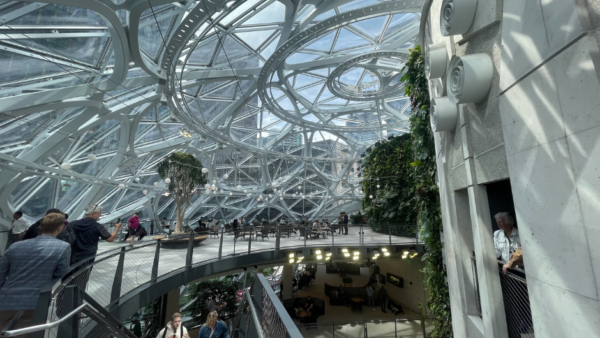 The Amazon Spheres